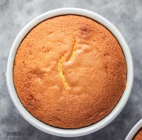 freshly baked vanilla sponge cake still in a cake tin. Sponge Cake Recipe Best, Basic Sponge Cake Recipe, Basic Vanilla Cake, Vanilla Sponge Cake Recipe, Basic Sponge Cake, Easy Sponge Cake, Easy Sponge Cake Recipe, Basic Vanilla Cake Recipe, Cake Flour Recipe