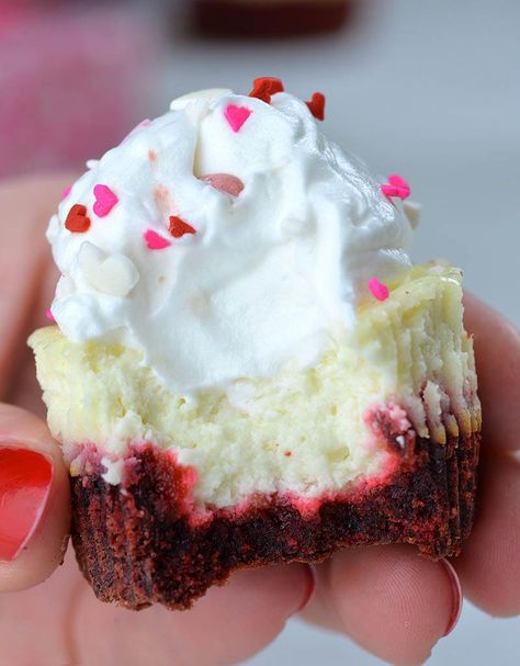 Red Velvet Cheesecake Cupcakes | OMG Chocolate Desserts Christmas Cheesecakes, Red Velvet Cheesecake Cupcakes, Smooth Cheesecake, Cheesecake Cupcake, Cheesecake Cupcakes Recipe, Box Recipes, Velvet Cheesecake, Birthday Plans, Cheesecake Toppings