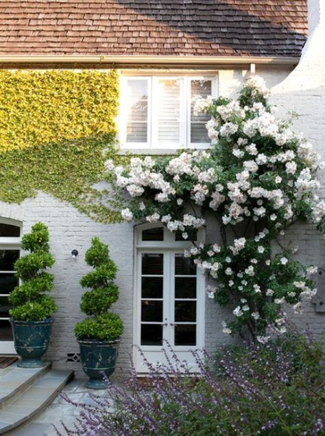 Climbing Plants That Give Your Home A New Look Rose House, French Garden, Climbing Roses, White Gardens, Climbing Plants, Garden Cottage, Rose Garden, Front Garden, Dream Garden