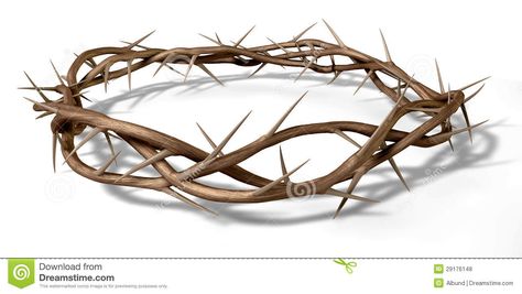 A Crown Of Thorns - Download From Over 29 Million High Quality Stock Photos, Images, Vectors. Sign up for FREE today. Image: 29176148 Thorn Tattoo, Jesus Crown, Chicanas Tattoo, The Crucifixion, Christian Symbols, Crown Of Thorns, Free Art Prints, Jesus Christus, Mandala Design