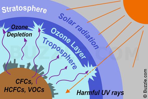 Know Your Ozone: It's Good, Bad And Bacteria-Blasting. Environmental Chemistry, Ozone Depletion, Ozone Layer, Chemistry Notes, Greenhouse Effect, Social Studies Teacher, Urdu News, Cause And Effect, Environmental Science