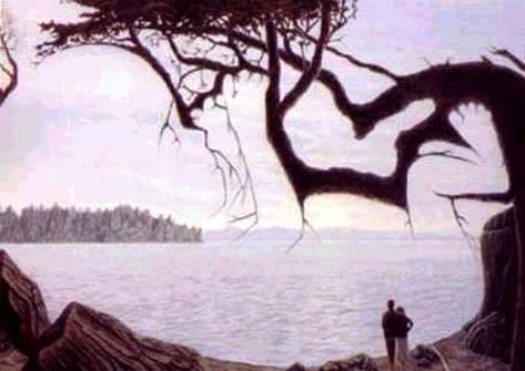 Baby in the Lake Optical Illusion - http://www.moillusions.com/baby-lake-optical-illusion/ Image Illusion, Amazing Optical Illusions, Illusion Pictures, Eye Tricks, Hidden Images, Visual Illusion, Optical Illusions Art, When You See It, What Do You See