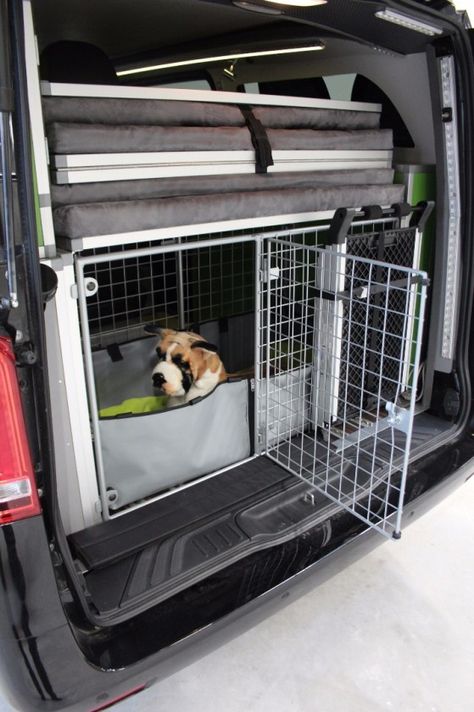 Hiace Camper, Rv Dog, Dog Van, Camper Dog, Modular Interior, Dog Transport, Mercedes Camper, Tiny House Camper, Caravan Makeover