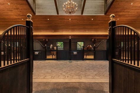 Horse Barn Interior, Luxury Horse Stables, Covered Arena, Luxury Horse Barns, Adam Ellis, Stable Style, Horse Barn Ideas Stables, Stable Ideas, Timber Truss