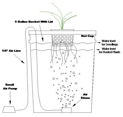 Aquaponics Garden, Aquaponics Diy, Hydroponics Diy, Pole Beans, Aquaponics System, Indoor Herb Garden, Hydroponics System, Hydroponic Gardening, Garden Boxes