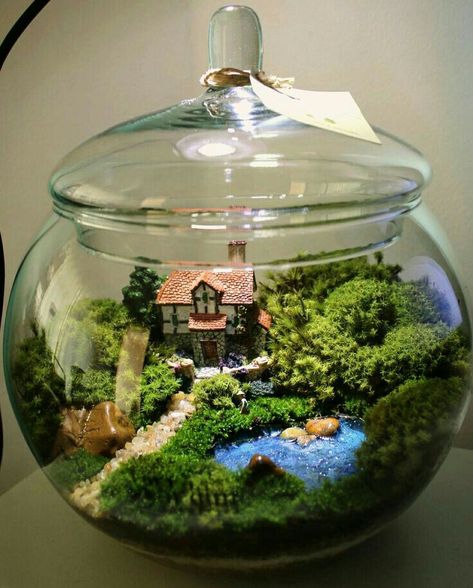 Closed Terrarium Plants, Terrarium Scene, Build A Terrarium, Modern Terrarium, Crafts With Glass Jars, Room Box Miniatures, Terrarium Bowls, Plants In Bottles, Beautiful Terrariums