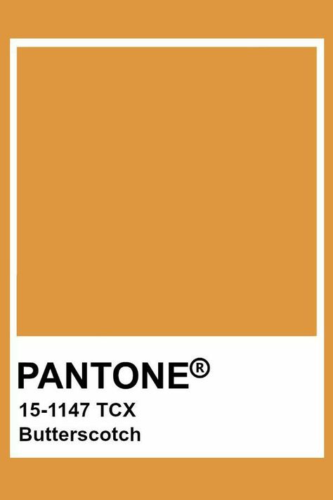 Butterscotch Color Aesthetic, Butterscotch Color Palette, Butterscotch Aesthetic, Pantone Caramel, Orange Pantone, Pantone Orange, Pantone Tcx, Pantone Colours, Butterscotch Color