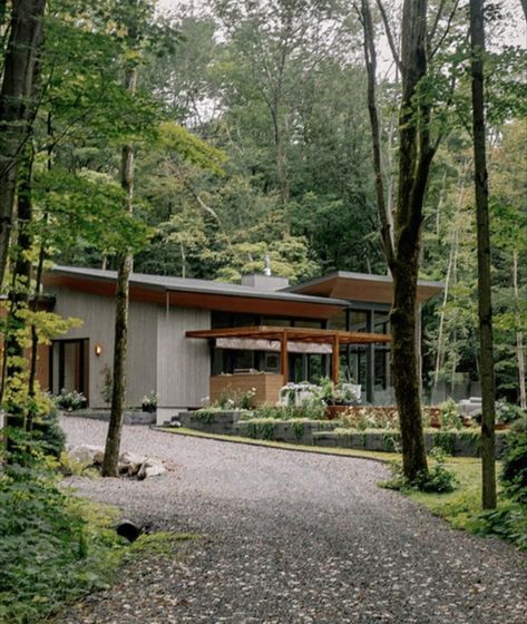 Midcentury Forest House, Mid Century Forest House, Modern Forest House Exterior, Single Slope Roof Houses, Mcm House Plans, House In The Woods Exterior, Modern Architecture House Exterior, House With Atrium, Modern House In Woods