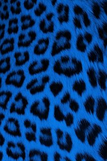 Leopard Print Wallpaper, Cheetah Print Wallpaper, Animal Print Background, Girly Wallpaper, Animal Print Wallpaper, Backgrounds Phone Wallpapers, Wallpapers Iphone, Buffalo Ny, Butterfly Wallpaper