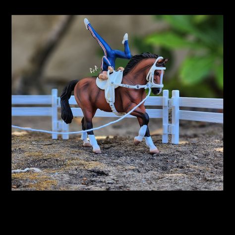 Schleich Horse Tack, Horse Stable Ideas, Schleich Horses Stable, Halter And Lead Rope, Schleich Diy, Unusual Horse, Bryer Horses, Schleich Horses, Stable Ideas