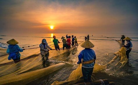 Native fishermen fishing on sea, using traditional technique pulling net in a sea at Thanh Hoa, Vietnam. Life of indigenous peoples in countryside. Fishing Net, A Sea, Traditional Techniques, Philippines, Istanbul, Vietnam, Fishing, Fish, Natural Landmarks