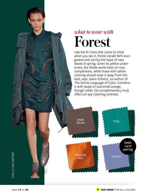 forest + dark taupe/teal/orange peel/violet Instyle Color Crash Course, Colour Combinations Fashion, Winter Typ, Color Combinations For Clothes, Amal Clooney, Rock Chic, Color Pairing, Color Analysis, Colour Palettes