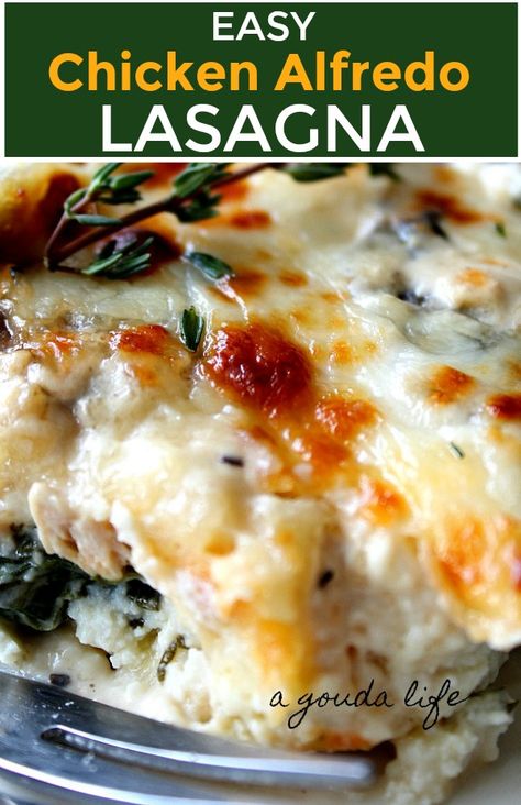 Chicken Bacon Lasagna, Cheesy Chicken Alfredo, Chicken Alfredo Lasagna Recipe, White Sauce Lasagna, Chicken Spinach Lasagna, White Chicken Lasagna, Chicken Lasagna Recipe, Chicken Alfredo Casserole, Chicken Alfredo Lasagna