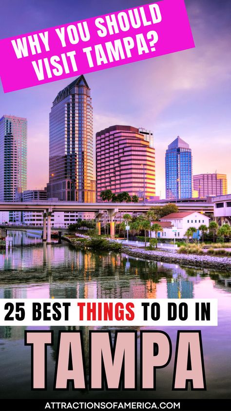 Image of Tampa skyline with text reading why you should visit Tampa? 25 best things to do in Tampa. Tampa Theatre, Florida Cities, Things To Do In Tampa, Skyway Bridge, Sunshine Skyway Bridge, Busch Gardens Tampa Bay, Florida Travel Destinations, Usa Florida, Ybor City