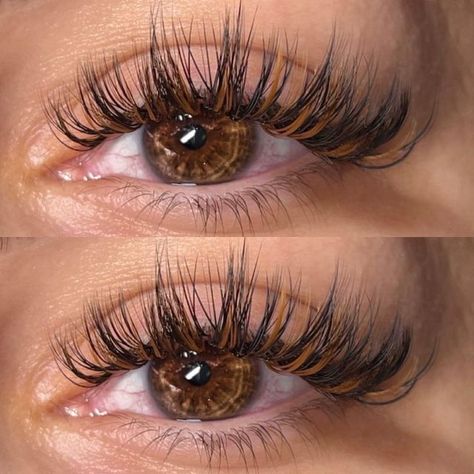 Chunky Wispy Lashes, Long Wet Lash Look, Winter Lash Extensions, Classics With Spikes Lashes, Long Wet Set Lash Extensions, Brown And Black Eyelash Extensions, Classic Lashes With Spikes, Brown And Black Lash Extensions, Brown Wet Set Lashes