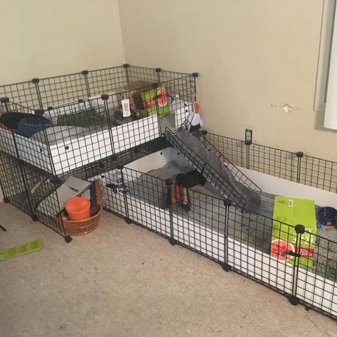 Pig Yard, Portable Dog Kennels, Indoor Rabbit Cage, Dog Playpen Indoor, Metal Dog Kennel, Cat Playground Outdoor, Pet Crafts, Kennel Ideas, Wooden Dog Kennels