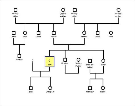 Basic Genogram template Genogram Example, Family Genogram, Genogram Template, Family Structure, Family Tree Template, Family Systems, Family Therapy, Template Site, Resume Template Free