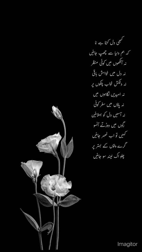 Urdu Saddest Quotes About Life, Urdu Saddest Quotes, Alvida Ramzan, Tahajjud Quotes, New Job Wishes, Beautiful Shayari, Job Wishes, Inspirational Quotes In Urdu, Cooper's Hawk