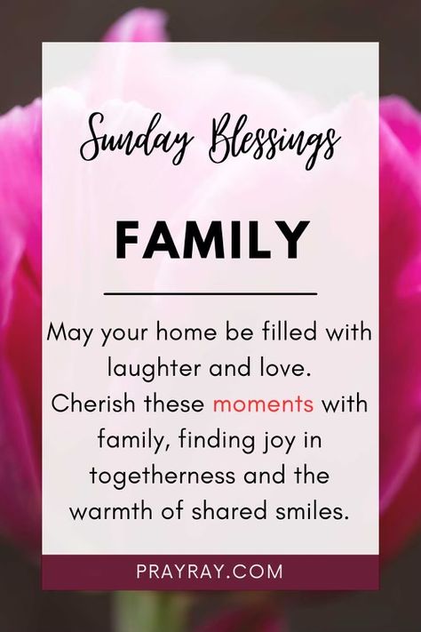 Sunday Blessings Images, Happy Sunday Images, Sunday Morning Quotes, Sunday Blessings, Sunday Images, Everyday Prayers, Blessed Sunday, Healing Touch, Good Morning Texts