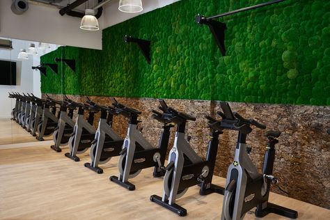 This forest-inspired gym space we installed for a corporate client creates a sense of calm and serenity in a busy and polluted Central London location. We installed a forest scene mural on the main gym wall and a unique green/living wall in the fitness studio as they trap pollutants and purify the air. The living wall is made-up of green moss and creates its own micro-climate which not only encourages plant growth but also makes a stunning feature. Wall Fitness, Out Of The Box Design, Wall Gym, Micro Climate, Gym Space, Corporate Headquarters, Gym Wall, Moss Wall, Gym Design