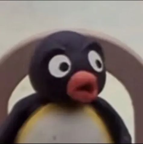 Penguin Profile Picture, Pingu Pfp, Coolest Profile Pictures, Funny Pingu, Pingu Mood, Penguin Pfp, Shock Meme, Pingu Memes, Pingu Pingu