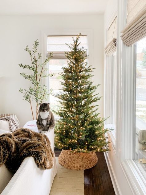 Weekend Recap / Simple Christmas tree decor with yellow twinkly lights, Christmas decor, and simple decorating pieces. ##christmasdecor #christmasdecorating #christmasdecoration #christmas Simple Chic Christmas Tree, Only Lights Christmas Tree, Christmas Tree With Basket Base, Plain Christmas Tree With Lights, Christmas Tree With Only Lights, Lights Only Christmas Tree, Christmas Tree Lights Only, Christmas Tree With Lights Only, Christmas Tree Basket Base