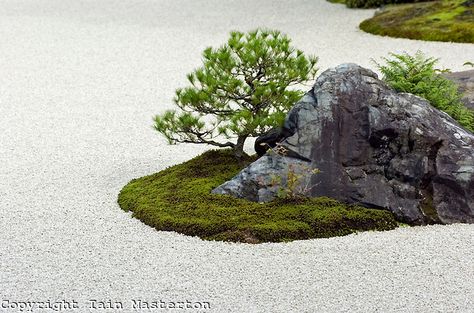 Japanese Rock Garden Ideas, Landscape Stones, Garden Gravel, Modern Zen Garden, Dry Landscape, Zen Landscape, Japanese Rock Garden, Zen Rock Garden, Zen Rock