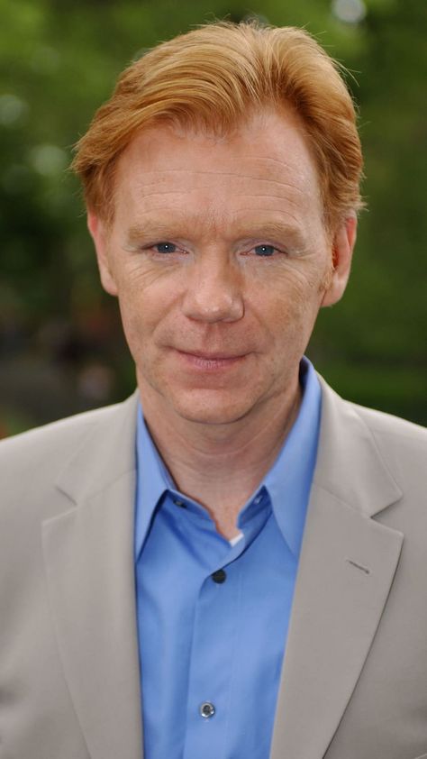 David Caruso, Tavern On The Green, Csi Miami, Star David, Acting Career, Stana Katic, Three Kids, Best Tv, Family Life