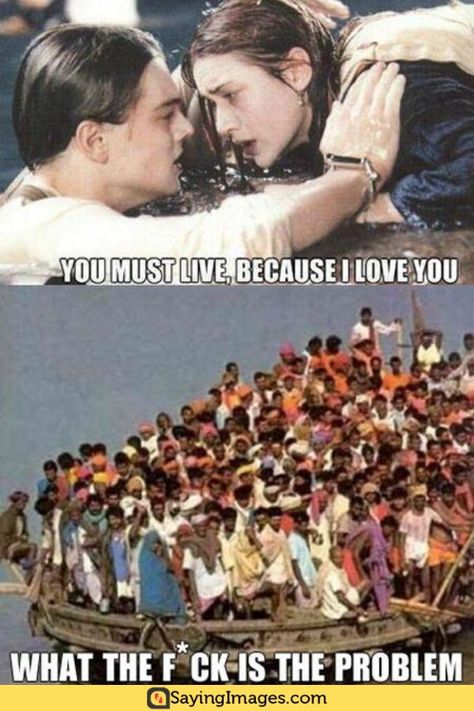 24 Funniest Titanic Memes That Will Surely Amuse You #titanicmemes #memes #funnymemes #humor #sayingimages Funny Titanic, Titanic Funny, Memes Hilarious, Funny Bunnies, Not Enough, Barack Obama, Bones Funny, Titanic, Funny Photos