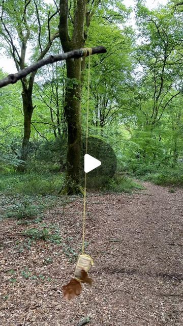 Sam Goldsworthy on Instagram: "🐝 NATURE BEES 🐝 

Today’s forest school session saw us making our own nature bees. We used the saw to cut our own wood cookies, coloured them in and attached them to a big stick. 

A great way to use tools to create their own bee which they were very proud of. We also introduced two new sounds - ‘aw’ using the saw and ‘zz’ as we ran around the forest making bee noises. 

#samgoldsworthychildmindingplayideas #forestschool #forestschoolideas #forestschoolleader #forestschoolactivities #outdoorlearning #outdoorlearningenvironment #natureplayalong #natureschool #outdooreducation #learningthroughnature #montessori #getoutside #exploringnaturewithchildren #childhoodunplugged #wildschooling #iamachildminder #worldbeeday" Childminding Ideas, Forest School Activities, Wood Cookies, Nature School, Outdoor Education, The Saw, School Leader, Forest School, Outdoor Learning