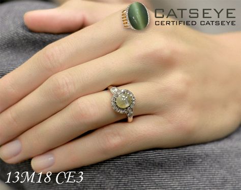 Define your style by adorning this gorgeous cats eye stone ring @ https://shop.catseye.org.in/ Cats Eye Ring Design, Cat Eye Stone Ring, Minimalist Accessories Jewellery, Cat Eye Jewelry, Cat Eye Stone, Cats Eye Ring, Gold Necklace Indian, Gold Necklace Indian Bridal Jewelry, Minimalist Accessories