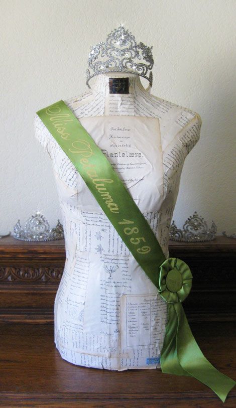 I love this dress form Beauty Pageant Sashes, Pageant Sashes, Award Display, Daisy Scouts, Martha Stewart Crafts, Letter Stencils, Dress Forms, Girls Weekend, Grad Parties