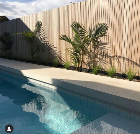 Small Pool Courtyard, Pool Fence Screening Ideas, Timber Screening, Pool Fencing Landscaping, Pool Fence Ideas, Pool Screen, Beach House Pool, Alfresco Designs, Pool Architecture