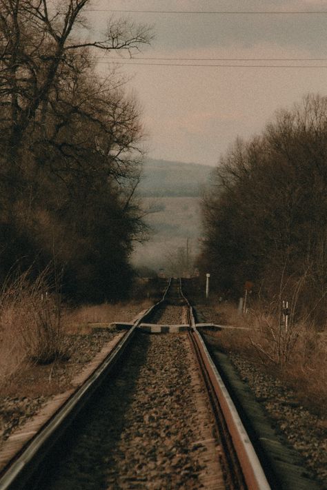 Brown Bare Trees Beside Train Rail · Free Stock Photo Bare Trees, Rail Train, Night Train, Bare Tree, American Gothic, Beauty Products Photography, Train Tracks, Not Afraid, Adobe Lightroom