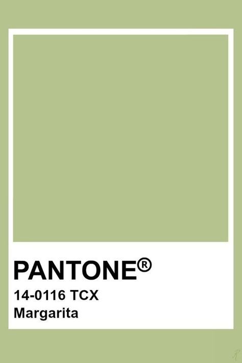 Light Green Pantone, Sage Green Pantone, Sage Pantone, Pantone Green Colors, Notion Green, Matcha Green Color, Green Pantone, Pantone Tcx, Pantone Green