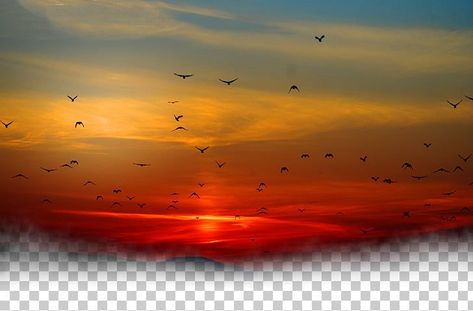 Silhouette Of Birds, Color Splash Art, Hd Sky, Cloud Sunset, Red Sky At Morning, Sky Gif, Golden Time, Photoshop Digital Background, Sunrise Landscape