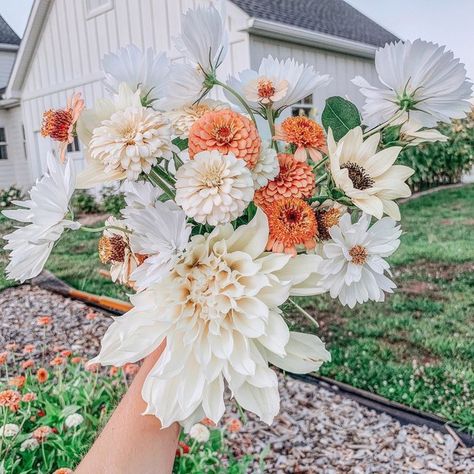 Zinnia Flower Arrangements, Growing Zinnias, Spring Planters, Flowers 2023, Farmers Market Flowers, P Allen Smith, Zinnia Flower, Flower Bunches, Flower Farming