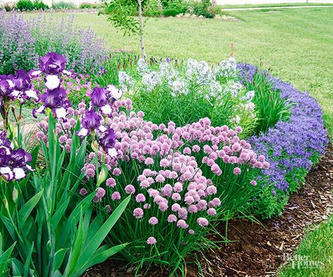 Pretty Purple Pairing: Veronica + Bearded Iris + Feather Bluestar + Catmint + Chives Meteor Garden 2018, Hydrangea Not Blooming, Purple Garden, Most Beautiful Gardens, Blue Garden, Bearded Iris, Plant Combinations, Gorgeous Gardens, Flower Bed