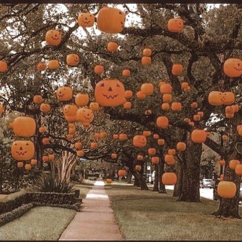 Halloween Yard Decorations Diy, Adult Halloween Party Decorations, Halloween Decorations Outdoor Porch, Diy Halloween Dekoration, Halloween Yard Signs, Scary Halloween Decorations Outdoor, Halloween Decor Diy, Diy Ombre, Halloween Tattoo