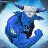 Blue Bulls Blue Bulls Rugby Image, Blue Bulls Rugby, Rugby Images, South African Rugby, Rugby Logo, Rugby 7s, Springbok Rugby, Jack Daniels Bottle, Rugby Sport