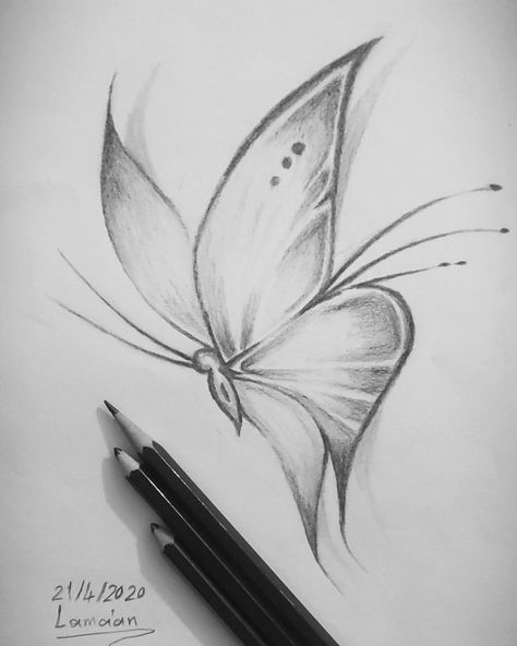 Butterfly Pencil Drawing Easy, Butterfly Art Drawing Sketches, Easy Sketches For Beginners Pencil Simple Drawing, Easy Sketch Ideas For Beginners, Butterfly Art Drawing, Beginner Sketches, Butterfly Sketch, Pencil Drawings Of Flowers, Pencil Drawings For Beginners