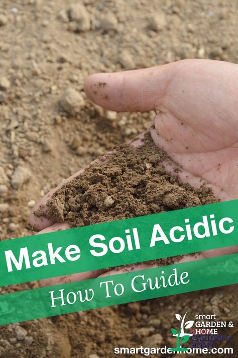 When preparing soil for your garden, know that different plants have different needs. But in general, most plants likes a soil that is slightly more acidic. Find out how to make Soil Acidic. https://smartgardenhome.com/gardening-how-to/prepare-soil/make-acidic/?utm_source=pinterest&utm_medium=smartgardenhome&utm_campaign=publer #acidicsoil Organic Insecticide, Healthy Soil, Old Garden, Organic Pesticide, Acid Loving Plants, Organic Vegetable Garden, Smart Garden, Organic Gardening Tips, Garden Soil