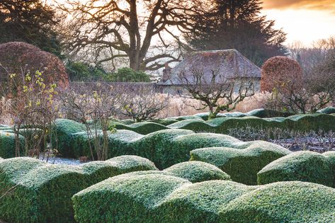 Arne Maynard, Cloud Pruning, Garden Tools Design, Garden Hedges, Topiary Garden, Walled Garden, Garden Design Ideas, Family Garden, Contemporary Garden