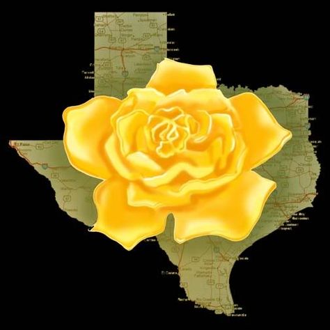 The Yellow Rose of Texas Yellow Rose Of Texas, Texas Tattoos, Only In Texas, Texas Life, Republic Of Texas, Texas Forever, Roses Wallpaper, Texas Art, Loving Texas