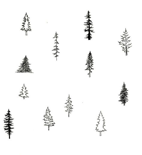 Pine Tattoo, Tree Drawing Simple, Pine Tree Drawing, Pine Tree Tattoo, Tattoo Trend, Omerta Tattoo, Simple Tree, Tree Sketches, Tree Graphic