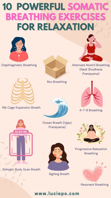 somatic breathing exercises Types Of Breathwork, Somatic Breathing, Somatic Meditation, Somatic Breathwork, Breath Techniques, Breath Exercises, Somatic Release, Breathwork Techniques, Somatic Workout