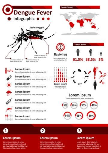 Malaria Vector Illustration. Mosquito Bite Blood Infected Disease Stock Vector - Illustration of danger, illness: 154245668 Disease Illustration, Disease Infographic, Fever Symptoms, Graphic Design Infographic, Budget Apartment, Mosquito Bite, Cat Treat Recipes, Small Space Diy, Natural Pain Relief