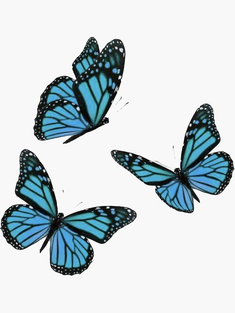 "Blue butterflys" Sticker by cristiekons | Redbubble Blue Butterfly Sketch, Blue Butterfly Design, Blue Butterfly Drawing Easy, Blue Buterfluffy, Blue Butterfly Drawing, Blue Butterfly Png, Butterfly Painting Easy, Blue Butterfly Sticker, Yoga Art Painting