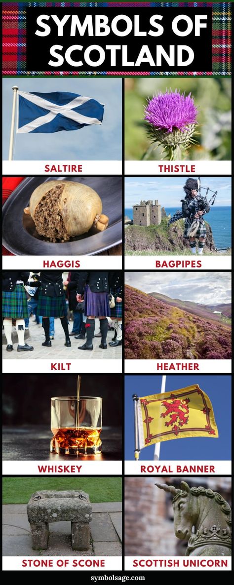 Irish Scottish Heritage, All Things Scottish, Scottish Culture Aesthetic, Scotish Highlanders, Scotland Symbols, Scottish Aesthetic, Scottish Traditions, Scottish Unicorn, Scottish Games