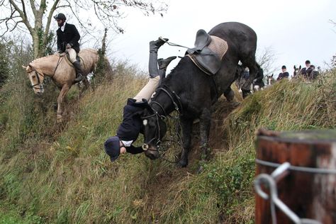 Fox hunting in Ireland: hunting life | Tatler Magazine Hunting Life, Fox Hunting, Day Of The Week, Your Man, Hunting, Need To Know, Fox, Horses, Animals